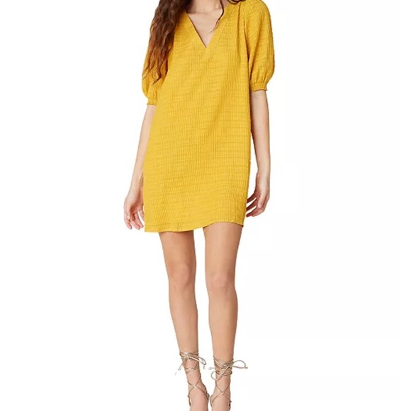 BB Dakota by Steve Madden Dresses & Skirts - BB Dakota Fields of Gold Dress